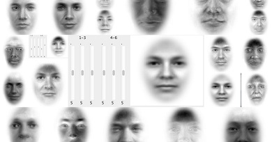 Biometrikus azonosítás „infravörös képek” alapján