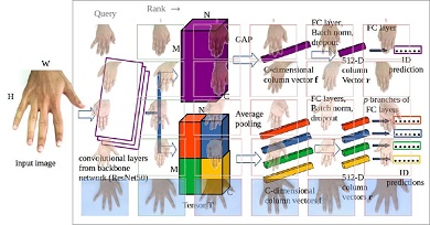 A kézfej, mint biometrikus azonosító