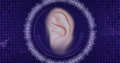 A fül, mint biometriai „nagyágyú”