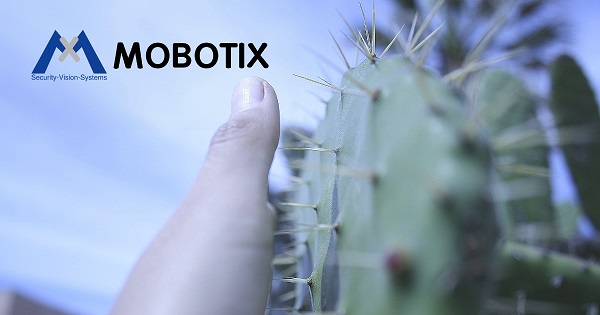 A Mobotix „kaktusza” és a kiberbiztonság